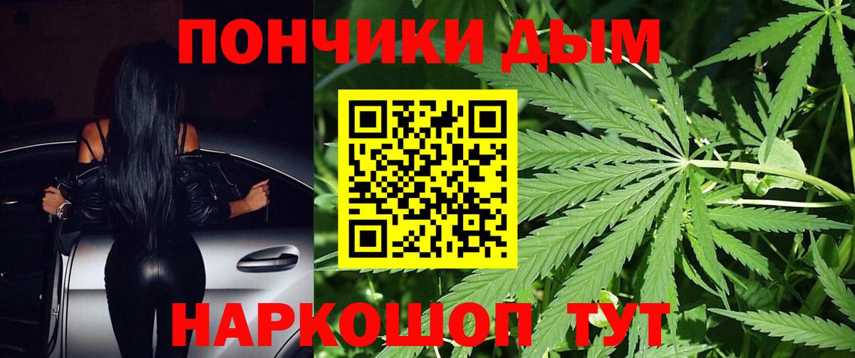Каннабис конопля Курчатов